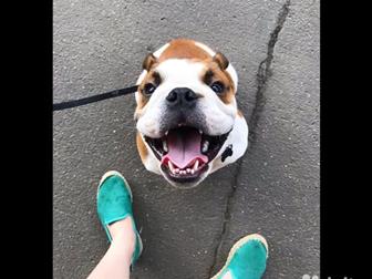 � ����� � ���������������� ����� � ����� ������� ���� ��� , 10 ������� , �� ����������� ,������������� , ����� ����� ,  ��������, ��� ����������, ��� � ������, �� � ������
