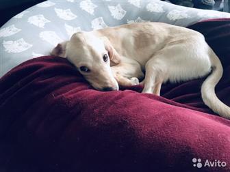 ����� ����� (7���, ),  1, ��� �� !) (�� ������ ����� ������������� ����),  2, �������� ��� ������� ,���� ���, �������,  3, ����� ������ ��������� � ���������� �������, � ������