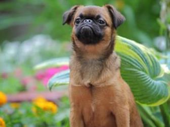 ������������ ����������� ������� 8 ���,  ������� ����������� ������������ �������, ������ �����, ���������� ������ ���� � ������, ������������ ���� ������ �����������, � ������
