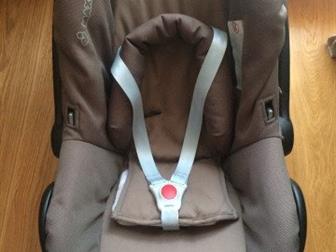    Maxi Cosi   ,       7 ,     ,   : /  