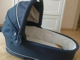  Baby Design LUPO COMFORT   ,    , : /  