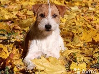 ??������  ��� ���������� ����������,  �������� ������������ ���� �������������,                             ??������ ������� �����, ������ �������� ��� ��� �����, � ������