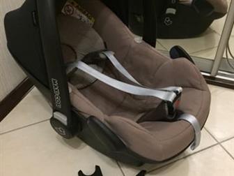   ,   ,   ,  ,  Maxi - cosi Pebble        bugaboo cameleon,     