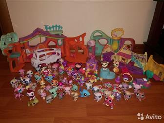 Littlest pet shop  Hasbro,   ,    ,    650,     1700,   600,     650   