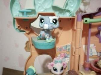   littlest pet shop     35     ,    : /  