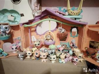   littlest pet shop     35     ,    : /  