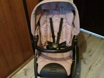  Peg Perego Book   ,    ,       6 ,    ,   