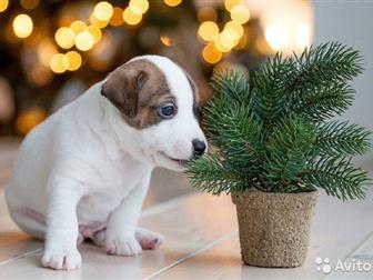 ??������������ � ������� ����� ���� ������ �������,  ����� �� ������� ,  �� ���� ������ �������,  � �������,  ??���� 3 ������ � ���������� ����� �� ���� ����� �������, � ������