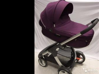   , stokke crusi 21,    Purple  ,    :  ,     