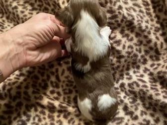 ��� ���������� ������������� ������� ��������� �������� ��� ������� � ������������ ������������,  ������� �� ����� �������� ���� ���������, � ��������� ���������! � ������