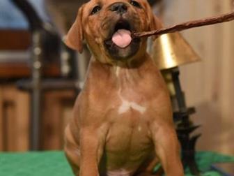 ���������� � ������� ������ ������ ���������� ������,  ���� ������ ����� ���������� ���������, ������� � ������������� ��������, ��������� � ��������� � ����� ����������, � ������