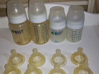   / Philips Avent-2   260   2   125     ,   ( ),  