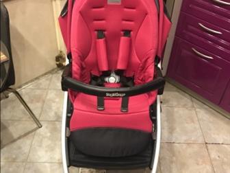   Peg Perego Book plus pop up,     !       ,   :      ,  