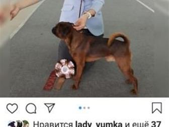 ����� 25, 12, 2017,  �������� ������ �������, � ����������� ���,  ���� ���� �������,  ������� �� ���������� ������,  � ���� �����-�������� �����, ���� �����,  ��� � ������