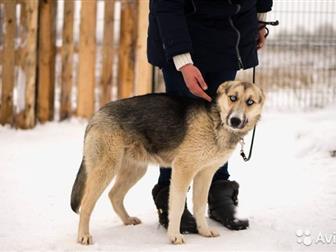 ������������ ��������, �������� 10 ������� ����� ������� ������� ��� � �������� �������,  ����� ������������ �������, �����������, �� ���������� ��-������,  ����� � ������