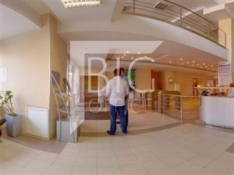 ID #482,       429 , ,     ,   ,           