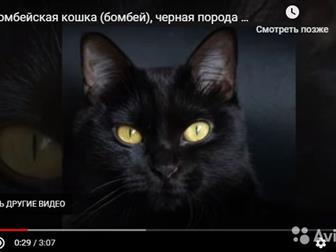   (  )  , , ,  