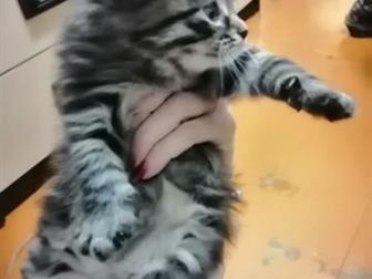     ,   ,    ,    - -,   ,   