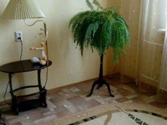  3  ,   14  9/10 , 75  , ,  ,    ,  ,  2  :  