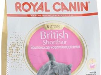    Royal Canin Kitten British Shorthair,    2    1/3,  :    ,    ,   