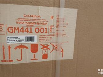       DARINA S GM441 001  	  	 		   