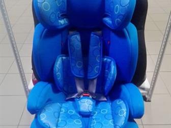  Teddy Bear ZY Isofix       ,         ,   