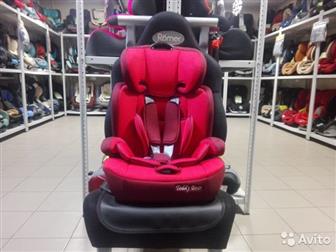  Teddy Bear ZY Isofix       ,         ,   