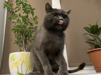   ,  4  , ,    ,    ,        !      ,      