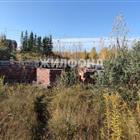 ��������� ������� �� ��. �����������. 
 
 � ������� ������ �