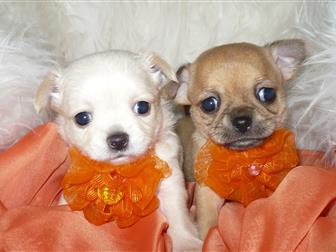 �������� ���� � ������������