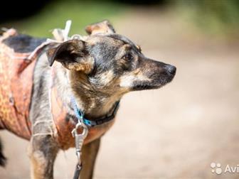 ���� � ������ ����! ����� � ����� ����������� �������, ��������, ����� ���������� ����� � ���, ������ �����������! ������, ������, ��������! �� �������� � ����� � ������������