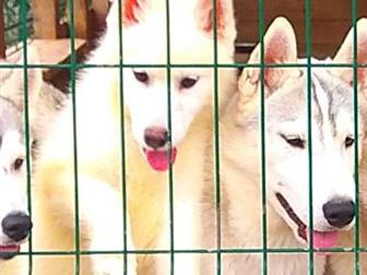 ������ ����� ������� �����,3 ������,���������,������,��������, �����������,��������,�������� ������,����� ��������� � ����������,������������� �� �������, ��������� � ������������