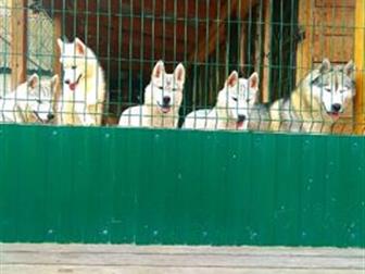 ������ ����� ������� �����,3 ������,���������,������,��������, �����������,��������,�������� ������,����� ��������� � ����������,������������� �� �������, ��������� � ������������