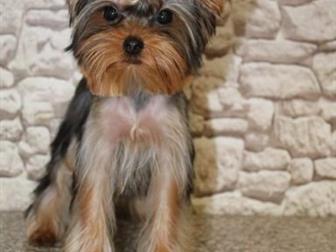 ����������� ������� ���� ����� ����� ,  ��� ��������� � ���������� �������� ��������������,  ��� ��������� ������� ������� ,  ������� ���� ��� ����� ������� ����� � ������������