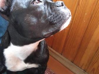 �������,  9 �������,  ��������� � ����� � ���������,  ������, � ������������