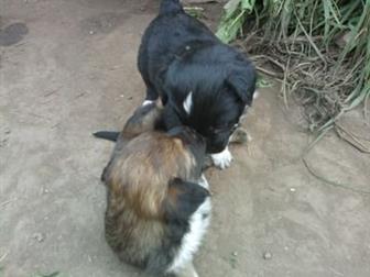 ����� ������,  ����� � ������ ����,  �������� ��� �������� �����,  ������� ���� ������, � ������������