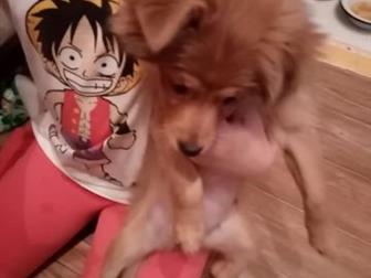 ���������� ������� ����,  �������� 06, 06, 2019 �,  �������, ��������,  �������,  ��� ����������, �������������� ��������� �������,  � ������� ������ � �������, � ������������