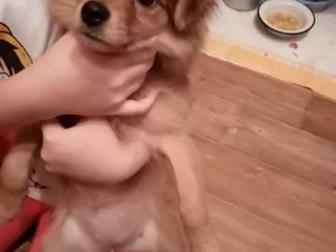 ���������� ������� ����,  �������� 06, 06, 2019 �,  �������, ��������,  �������,  ��� ����������, �������������� ��������� �������,  � ������� ������ � �������, � ������������