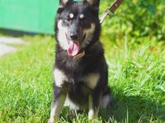 � ����� � ��������� � ������, ���� ����� ������ ������������� �����,  �����������, ������, ����� ��������, �������, ������ ��! � ������������