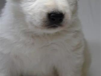 ���������� � ������� � ������������ ����� ����� ����������� �������, ��������� 9, 08, 19,  ����� ������� � ������ ��������� � �������, ���� �������� ��������, �������������� � ������������