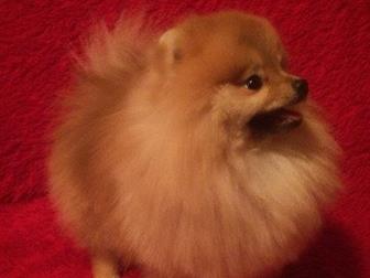 ��������� ���� ���������, ���������� ��������, ������� ����, ���� �������, ������������ ��������,  ��� 1, 5��, ���� 18��, ����� �����, ��������� ���,  ���� ������ � ������������