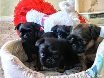 ����� �������� ������������� (�������), ������������ (��� ������� � �������) ,  ���� �������� 12 ������� 2019 ����,  � ������ ����� ������� ��������  ���������� � ������������