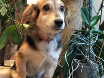 �����������! � ���! ����������� � ��������� ��� - ������! � ��������� ���� ����� ���-�� ��������� � � �������� �� ����� ������ ����, ��������� ��� ������ �� �������� � ������������