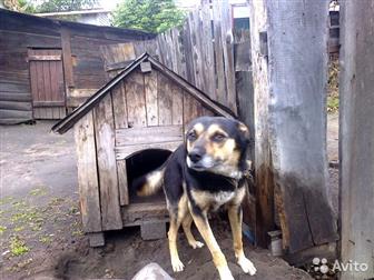 ����� � ��� ���������� ������ �� ������ ������ � ��� �� ����������� ������ ��������� �� ����� ����� � ������� ������� ������ ����� ������� ������� ���������, � ������������