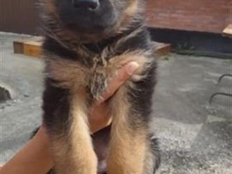 ����� 2 ������, ��� ������, ������� � ������������