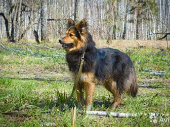 ���� �������, �����������, ������� �������,  �� ����� �����  ����, ��� �������, �������, �������������,  ������� ��������� � ������� � ��������,  ��������� ������������� � ������������