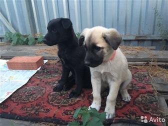 ����� �����, ����� 2 � �������, ����� ����������, �������-�������, ������-�������, � ������������