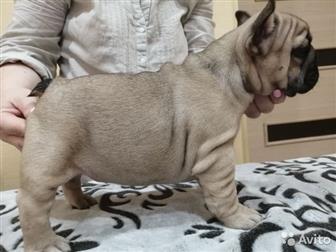 ������������ -������� � ��������, � ����������� ���, ������������, �������, ����������� �� ��������,  ���� �������� 05, 08, 19, �� ��������� - ��� �������� ��� ��� � ������������