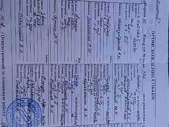 ������ ������ ������� ������, ��������, �������, ������� 6 ���, ���� ������ � ������ ����������, ���� ����������, � ������������