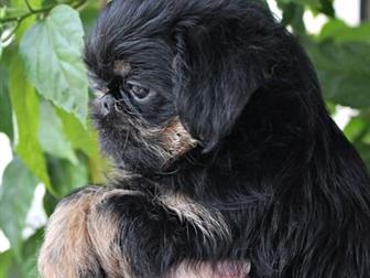 ����� ������������ �������� - ������, ���� �������� 2, 07, ����� ���������, �� ��� ����������! � �������� ��������� �������! ��� �����������, �������� �� ��������, � ������������